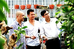 Trong thời gian thí điểm trung tâm dịch vụ nông nghiệp tại các huyện Chương Mỹ, Mê Linh và Thanh Trì, Sở Nông nghiệp và Phát triển nông thôn Hà Nội không thực hiện chức năng quản lý nhà nước về chăn nuôi và thú y, trồng trọt và bảo vệ thực vật trên địa bàn 3 huyện này. (Ảnh minh họa: Minh Thắng).