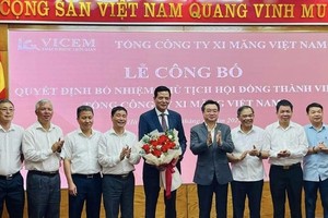 Cục trưởng Cục quản lý nhà và Thị trường Bất động sản, Bùi Xuân Dũng làm Chủ tịch HĐTV Vicem.