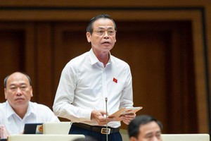 Đại biểu Trần Hữu Hậu (Tây Ninh) phát biểu tại hội trường.