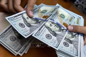 Đồng USD. Ảnh minh họa: AFP/TTXVN