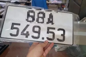 2 đại biểu Quốc hội đề nghị không phát hành các biển số có số cuối là 49, 53 (Ảnh minh họa: V.P).