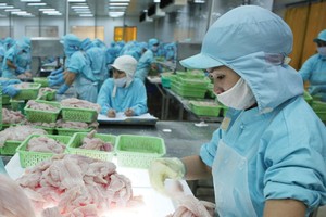 Cá tra và tôm là hai mặt hàng xuất khẩu chủ lực của ngành thủy sản Việt Nam, với thị trường lớn nhất là Trung Quốc và Mỹ.