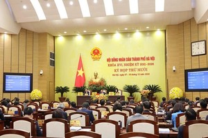 Hà Nội thông qua danh mục 1.445 dự án chuyển mục đích đất trồng lúa năm 2023