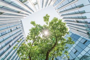 Các doanh nghiệp Việt Nam cần đẩy nhanh tiến độ của các ưu tiên ESG để tạo sự khác biệt trên thị trường vốn và lao động.