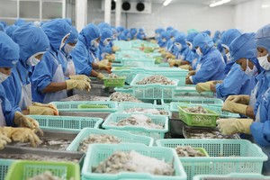 Đơn hàng xuất khẩu của các doanh nghiệp Việt Nam đang chậm lại.