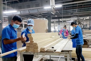 Gỗ và sản phẩm gỗ là mặt hàng xuất khẩu tỷ USD của Việt Nam.