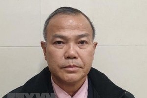 Đại sứ Việt Nam tại Nhật Bản Vũ Hồng Nam. (Ảnh: TTXVN phát)