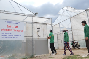 Ninh Thuận dự kiến thu hút 22 nhân lực chất lượng cao làm việc trong lĩnh vực nông nghiệp ứng dụng công nghệ cao. Ảnh minh họa.