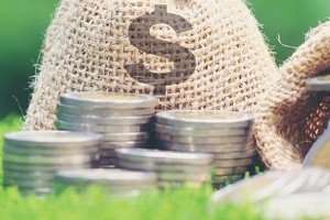 Xây dựng nền tài chính xanh đóng vai trò quan trọng trong phát triển bền vững.