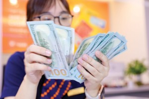 Các áp lực đối với lãi suất như tỷ giá, lạm phát trong nước vẫn lớn.