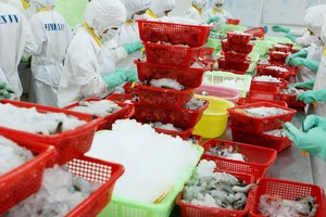 Nhiều doanh nghiệp thủy sản đang vào thị trường nội địa và đa dạng thị trường xuất khẩu, nâng cao tiêu chuẩn sản phẩm.