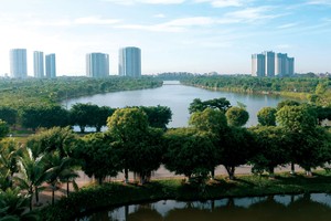 Tìm cửa đầu tư năm Mèo