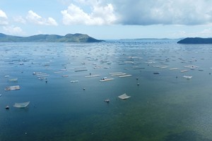 Thị xã Sông Cầu đề xuất Dự án Khu nuôi trồng thủy sản công nghệ cao. Trong ảnh: lồng, bè nuôi trồng thủy sản tại vịnh Xuân Đài.