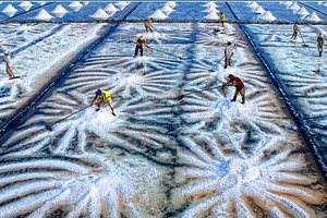 Điểm tham quan cánh đồng Muối Bạc Liêu (Ảnh Phan Thanh Cường)