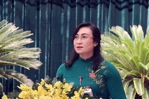 Bà Phan Thị Thắng là thành viên Ban Chỉ đạo cải cách hành chính của Chính phủ. (Ảnh: Xuân Khu/TTXVN).