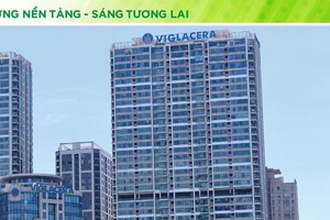 Viglacera sẽ tập trung vào phân khúc bất động sản công nghiệp và nhà ở xã hội.