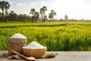 Việt Nam đang tập trung sản xuất gạo chất lượng cao để phù hợp với xu hướng tiêu dùng toàn cầu