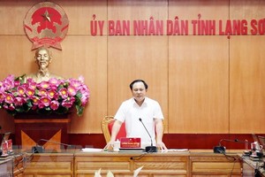 Phó Chủ tịch Ủy ban Nhân dân tỉnh Lạng Sơn Lương Trọng Quỳnh phát biểu chỉ đạo. (Ảnh: Thái Thuần/TTXVN).