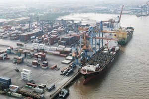 Việt Nam là nước xuất khẩu cà phê Robusta lớn nhất, xuất khẩu cao su lớn thứ 3, nhập khẩu ngô lớn thứ 6, nhập khẩu khô đậu tương lớn thứ 3 toàn cầu.