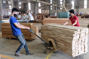 Nhiều chính sách tháo gỡ khó khăn, vướng mắc cho doanh nghiệp được ban hành sau khi báo chí vào cuộc phản ánh, kiến nghị.