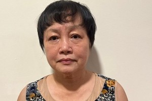 Trần Thị Bình Minh, nguyên Phó Giám đốc Sở Kế hoạch và Đầu tư Thành phố Hồ Chí Minh. (Ảnh: TTXVN phát)