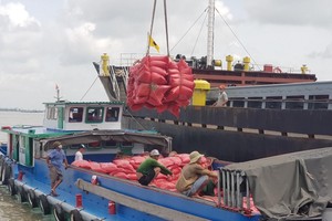 Việt Nam là nước xuất khẩu gạo lớn thứ ba thế giới, có sức cạnh tranh cao