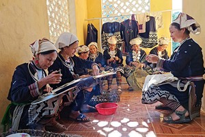 Chương trình du lịch nông thôn đã và đang góp phần chuyển dịch cơ cấu kinh tế nông thôn theo hướng tích hợp đa giá trị, bao trùm và phát triển bền vững.