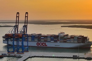 Gemadept (GMD): Tiên phong đồng hành cùng thị trường chứng khoán Việt Nam