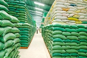 VCCI đề nghị Bộ Công thương tiếp tục giảm các điều kiện đầu tư kinh doanh xuất khẩu gạo, tiến tới tự do hoá thị trường.