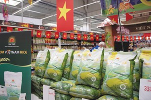 Gạo Cơm Việt Nam Rice xuất khẩu vào châu Âu.