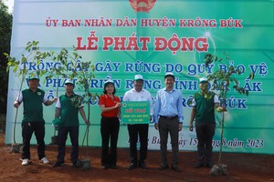 SeABank trao tặng 25.000 cây phủ xanh đất rừng tại Đắk Lắk