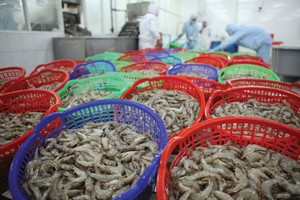 Tôm là sản phẩm được Trung Quốc nhập khẩu nhiều nhất trong nhóm thủy sản của Việt Nam.