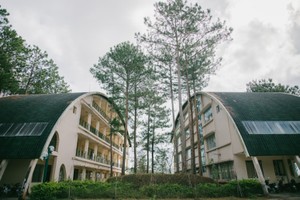 Đà Lạt là điểm đến được du khách Việt tìm kiếm nhiều nhất trong dịp Lễ 2/9