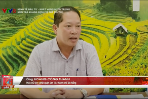 Ông Hoàng Công Thanh – Phó chủ tịch UBND quận Sơn Trà, thành phố Đà Nẵng.