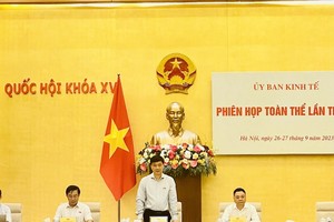 Chủ nhiệm Ủy ban Kinh tế Vũ Hồng Thanh chủ trì phiên họp.