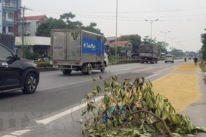 Quốc lộ 2 đoạn qua thị trấn Đạo Đức, Bình Xuyên, Vĩnh Phúc. (Ảnh: Hoàng Hùng/TTXVN)