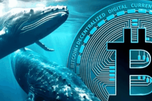 Bitcoin lùi bước trước áp lực chốt lời từ "cá voi"