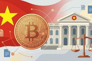 Xây dựng cơ chế báo cáo, công bố thông tin cho thị trường tài sản mã hóa