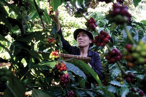 Agribank sẽ tiếp tục là đơn vị số 1 trong đầu tư vào nông nghiệp, nông thôn