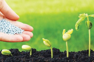 Top 10 Báo cáo Phát triển bền vững: Thành tích đáng khen và những điểm cần cải thiện