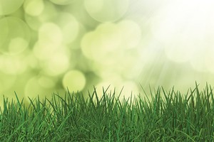 Phát triển bền vững: Động lực lâu bền cho tăng trưởng