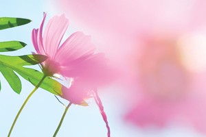 Kiếm tiền từ không khí