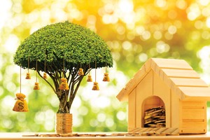 Làm sao để tránh mất tiền trên sàn chứng khoán?