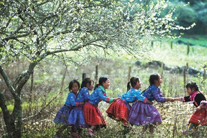 Những mùa xuân đến trong đời