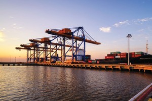 Gemadept: Mừng xuân Kỷ Hợi, đón vận hội mới