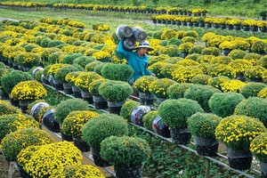 Hướng về nông nghiệp, nông thôn, nông dân