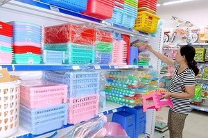 Năm 2015, Nhựa Việt Nam đã có lãi