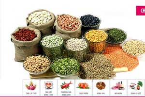 Năm 2016, APC đặt kế hoạch lãi sau thuế 33,7 tỷ đồng