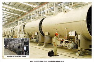 Năm 2016, NTP đặt kế hoạch lãi trước thuế 415 tỷ đồng