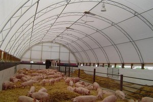 Tiêu thụ lợn thuận lợi, quý I/2016, VLC lãi sau thuế hơn 47 tỷ đồng, tăng 57,6%